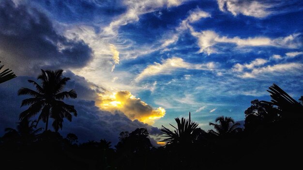 Low angle view of silhouette trees against dramatic sky