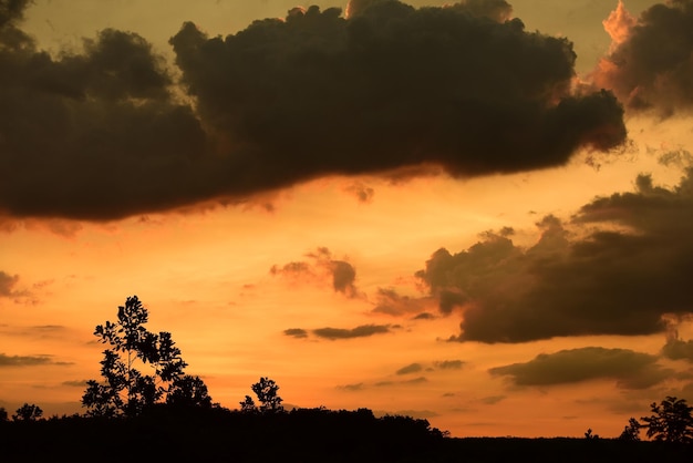 Low angle view of silhouette trees against dramatic sky