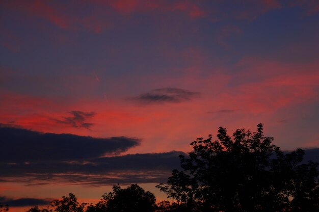 Photo low angle view of silhouette trees against dramatic sky