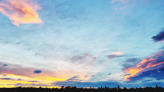 Low angle view of silhouette trees against dramatic sky