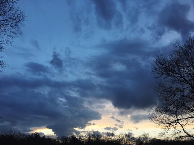 Low angle view of silhouette trees against dramatic sky