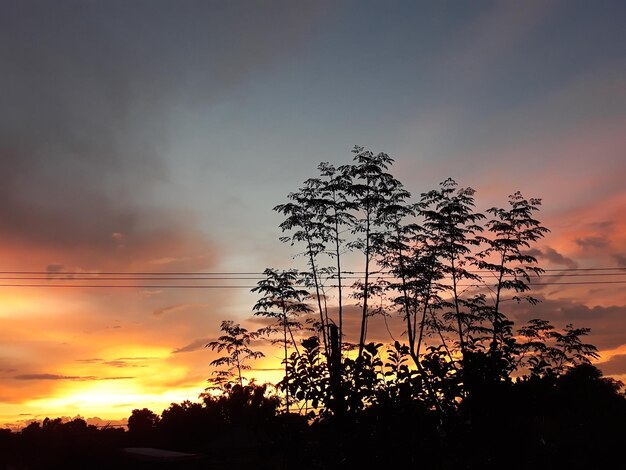 Low angle view of silhouette trees against dramatic sky