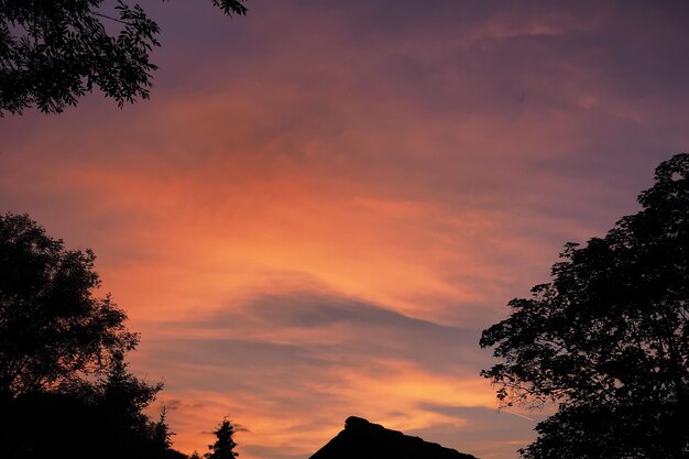 Low angle view of silhouette trees against orange sky