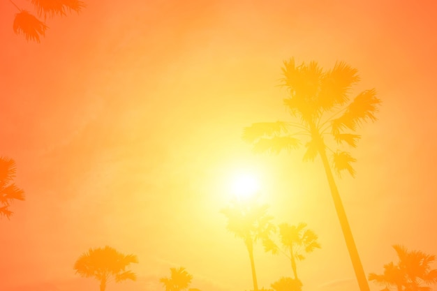 Foto vista a basso angolo di alberi a silhouette contro il cielo arancione