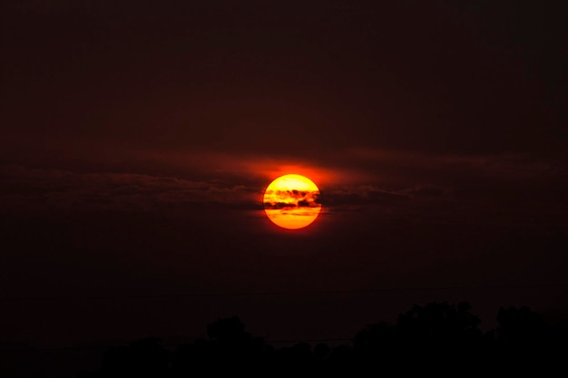 Foto vista a basso angolo di alberi a silhouette contro il cielo arancione