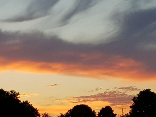 Low angle view of silhouette trees against orange sky