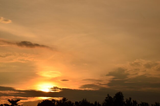 Low angle view of silhouette trees against romantic sky