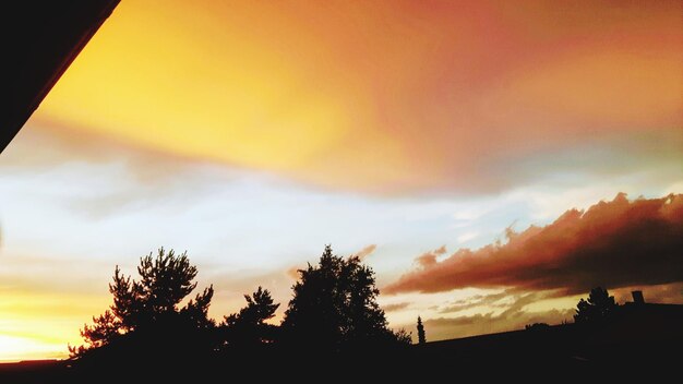 Low angle view of silhouette trees against sky during sunset