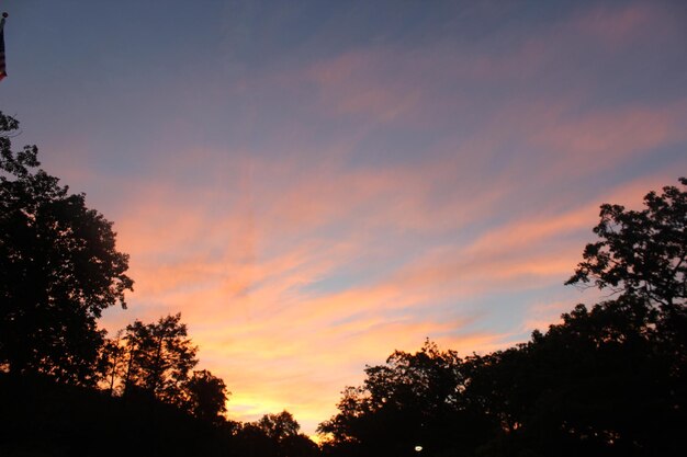 Low angle view of silhouette trees against sky during sunset