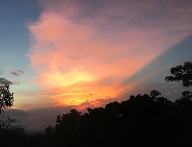 Low angle view of silhouette trees against sky during sunset