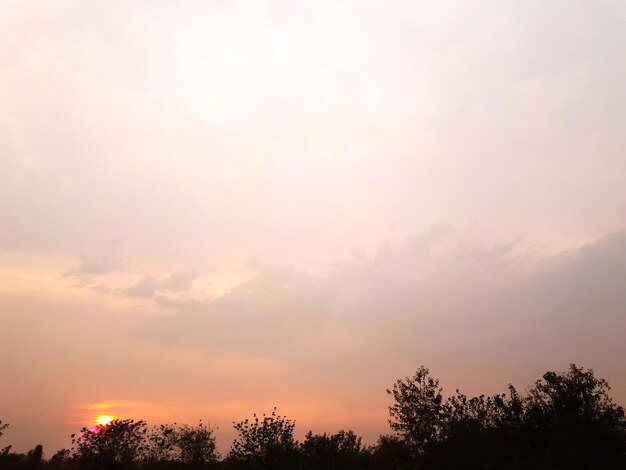 Low angle view of silhouette trees against sky during sunset