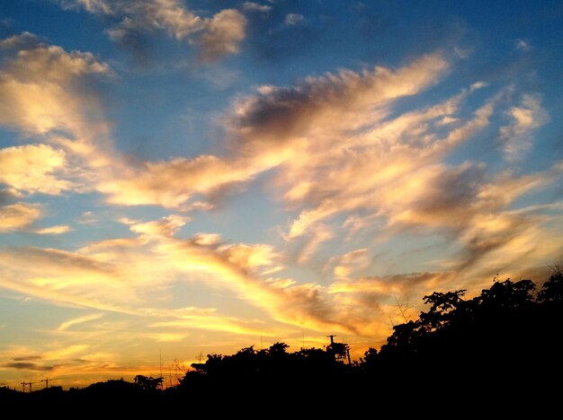 Low angle view of silhouette trees against sky during sunset