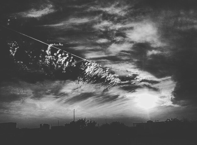 Photo low angle view of silhouette trees against sky during sunset