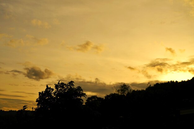 Low angle view of silhouette trees against sky during sunset