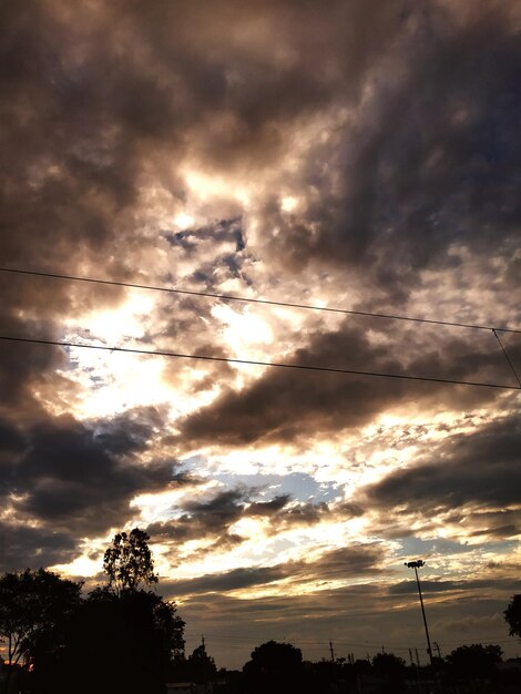 Low angle view of silhouette trees against sky during sunset