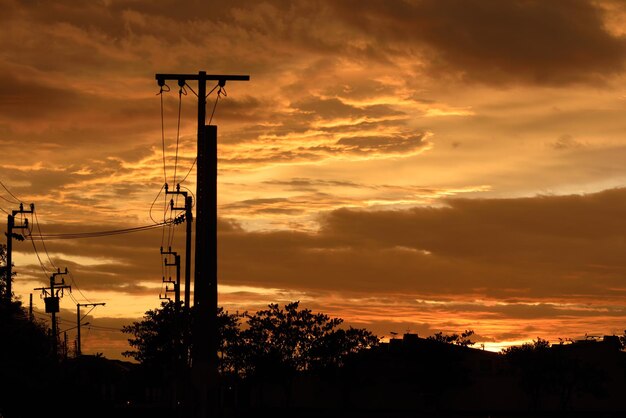 Low angle view of silhouette trees against sky during sunset