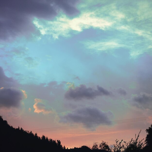 Low angle view of silhouette trees against sky during sunset