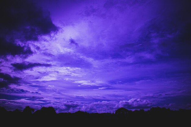 Low angle view of silhouette trees against sky at night