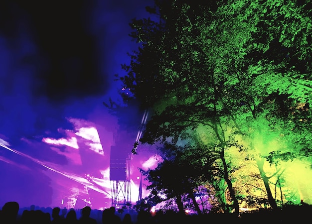 Low angle view of silhouette trees against sky at night