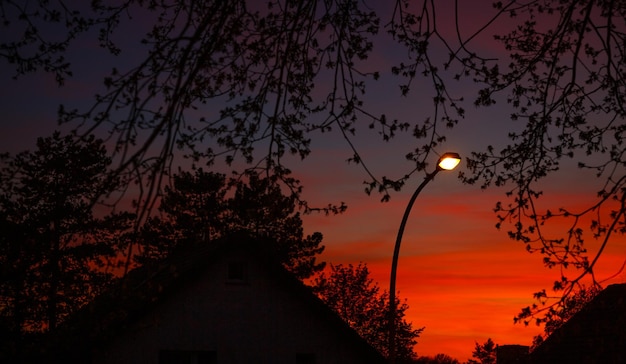 Photo low angle view of silhouette trees against sky at night