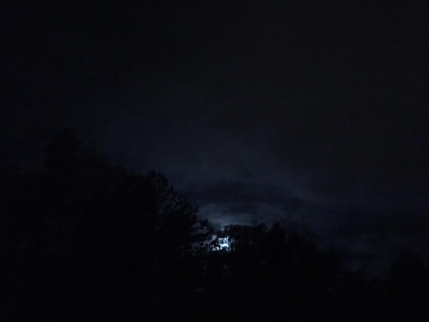 Foto vista a basso angolo di silhouette di alberi contro il cielo di notte