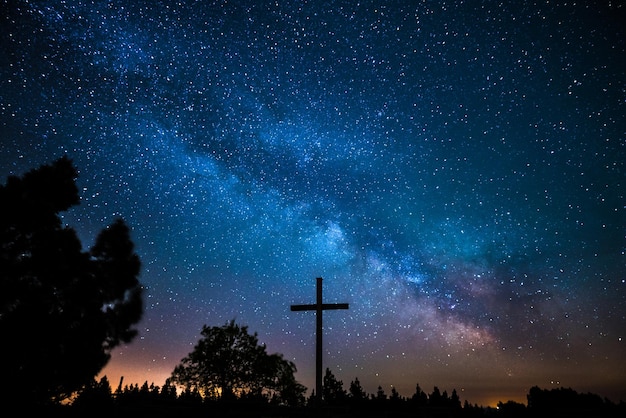 low angle view of silhouette trees against sky at night