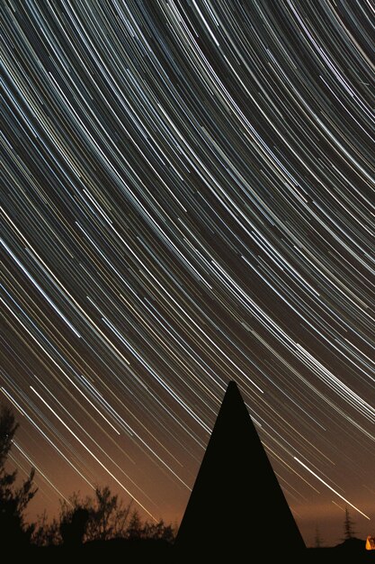 Foto vista a basso angolo di silhouette di alberi contro il cielo di notte