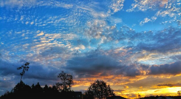 Low angle view of silhouette trees against sky at sunset