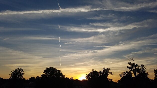 Low angle view of silhouette trees against sky at sunset