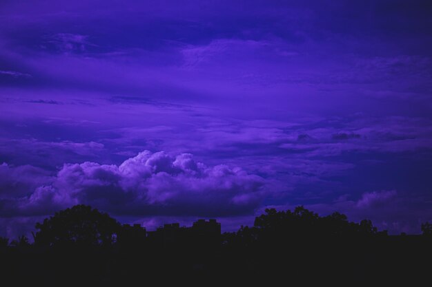 Low angle view of silhouette trees against sky at sunset