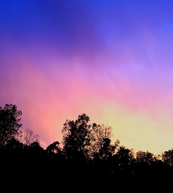 Low angle view of silhouette trees against sky at sunset