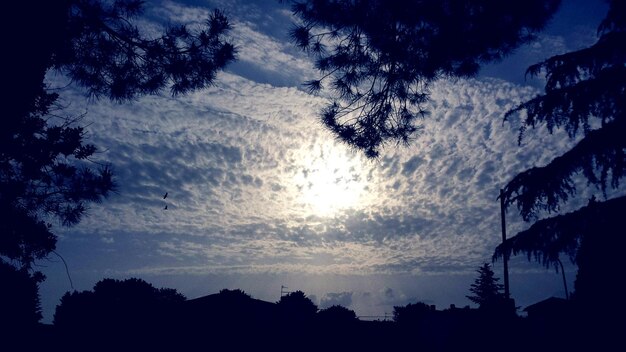 Low angle view of silhouette trees against sky at sunset