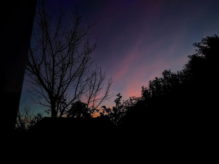 Photo 夕暮れの空を背景に木のシルエットを低角度で眺める