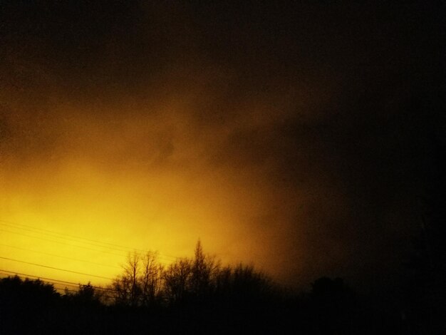 Low angle view of silhouette trees against sky at sunset