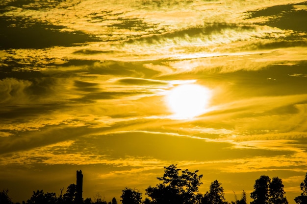 Low angle view of silhouette trees against sky during sunset