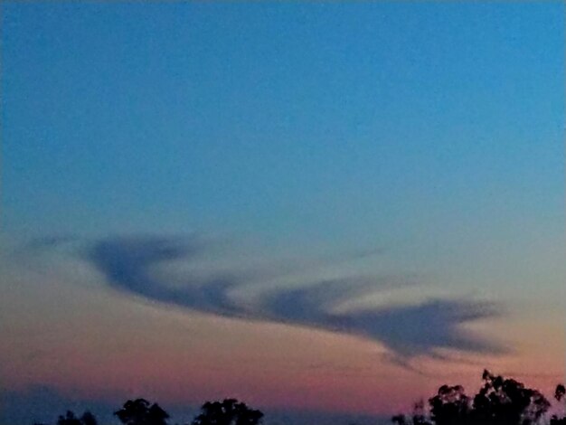 Low angle view of silhouette trees against sky at sunset