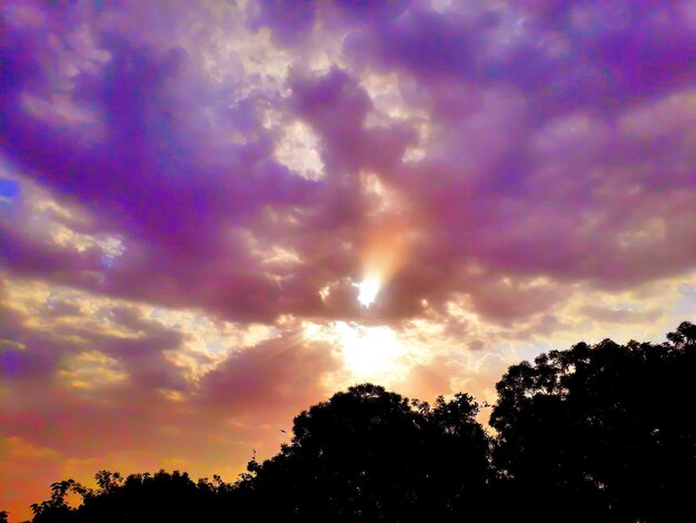 Low angle view of silhouette trees against sky