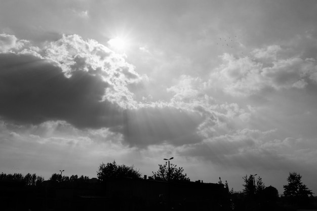 Photo low angle view of silhouette trees against sky