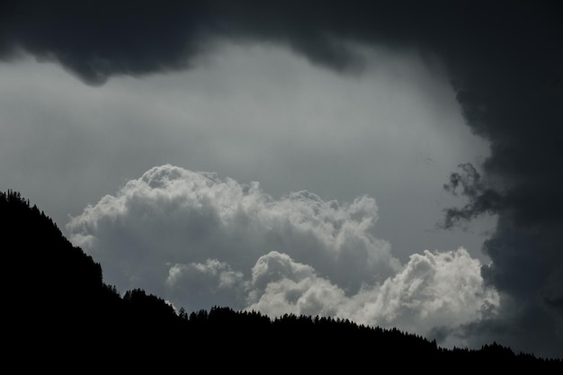 Photo low angle view of silhouette trees against sky