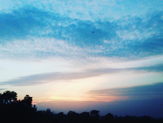 Low angle view of silhouette trees against sky