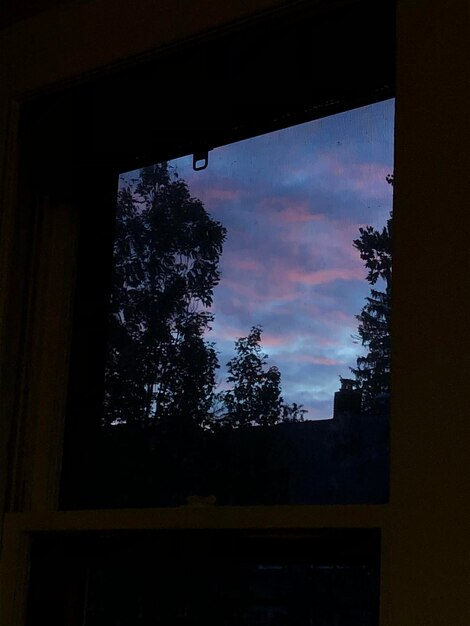 Foto vista a basso angolo di silhouette di alberi contro il cielo