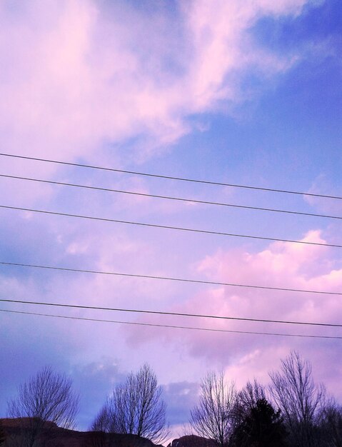 Low angle view of silhouette trees against sky