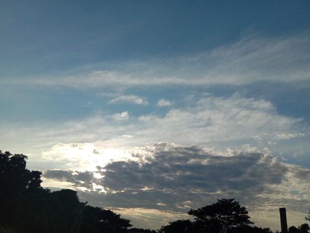 Low angle view of silhouette trees against sky