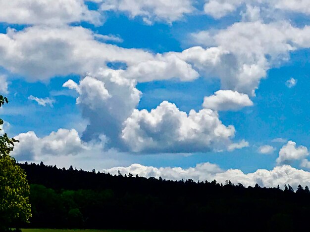 Low angle view of silhouette trees against sky