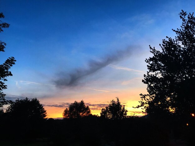 Low angle view of silhouette trees against sky