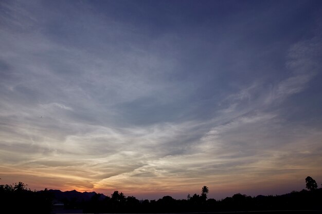 Low Angle View Of Silhouette Trees Against Sky