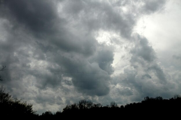 Photo low angle view of silhouette trees against storm clouds