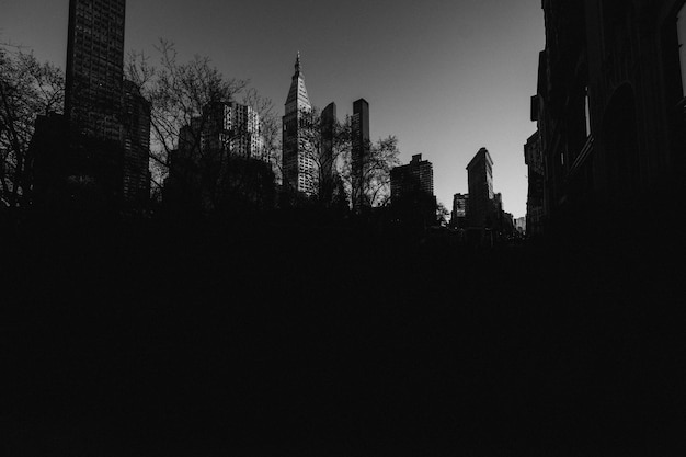 Low angle view of silhouette trees and buildings against sky