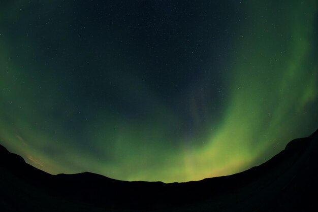 Photo low angle view of sky at night