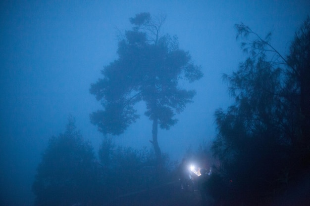 Low angle view of sky at night